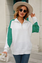 Angel Wings Contrast Quarter-Zip Collared Neck Sweater